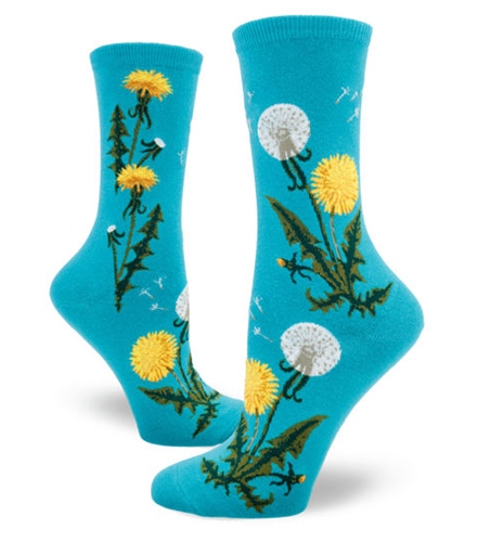 Socks: Dandelion